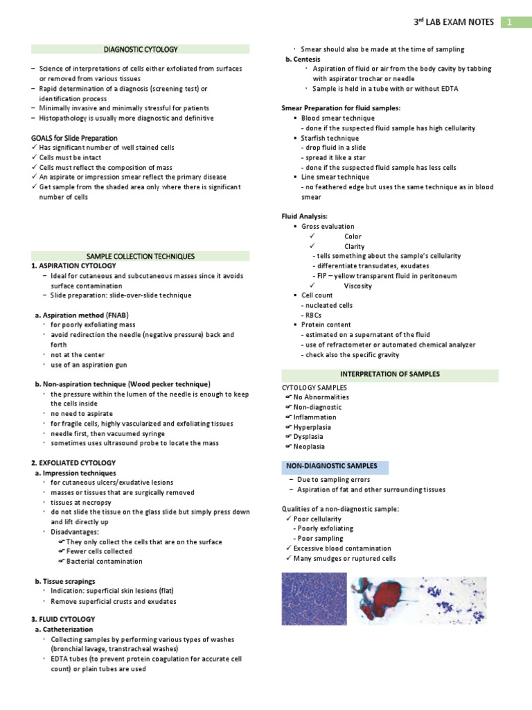 Diagnostic Cytology Lab Exam Notes | PDF | Cytopathology | Inflammation