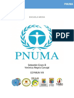 Pnuma PDF