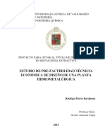 PROYECTO PARA EL DESARROLLO DE METALURGIA EXTRACTIVA.pdf