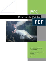 Manual Paiche v2.docx