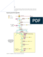 02 Glucolisis PDF