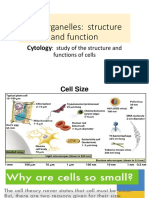 NS112 Organelles1