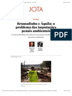 Imputação penal em grandes desastres ambientais_Brumadinho e Aquila