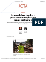 Imputação Penal em Grandes Desastres Ambientais - Brumadinho e Aquila