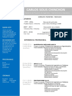 Cv. Carlos Solis Chinchon PDF