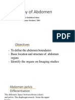 Anatomy Abdomen Final