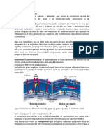 RESISTENCIA BACTERIANA (1)