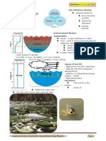 Fish Diseases Non-Infectious Disease:, B. V. Sc. & A.H. 7 Sem