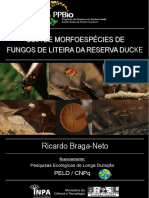 guiademorfoespciesdefungosdeliteiradareservaducke-101219100956-phpapp02.pdf