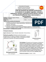 INFORME 5 PARASITOLOGIA.docx