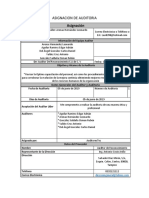 Asignacion de Auditoria