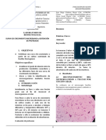 Informe N°3