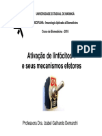 Ativação e M Efetores Lynf T