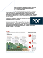 Contaminación Del Suelo