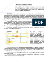 Sist Nervos PDF