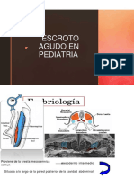 ESCROTO AGUDO EN PEDIATRIA-PPT.pptx