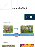 Cause and Effect