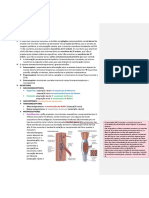Sistema Somatossensorial 1 PDF