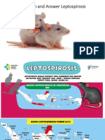 Q & A Leptospirosis