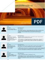 Sample Profile Write-Ups PDF