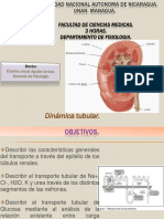 Dinámica-Tubular 2018 PDF