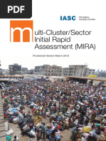 mira_final_version2012.pdf