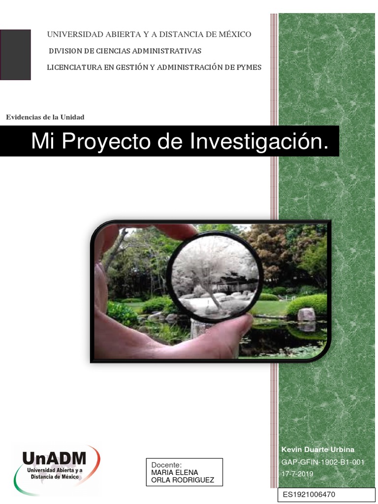 Liderazgo en PYMES: Clave para el Éxito | PDF | Pequeñas y medianas ...