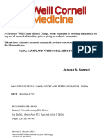 EPOM Lab intro Nasal  cavity and Pteryg fossa EPOM 17