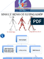 SL Benh CKX PDF