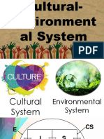 The Cultural Environmental Systems