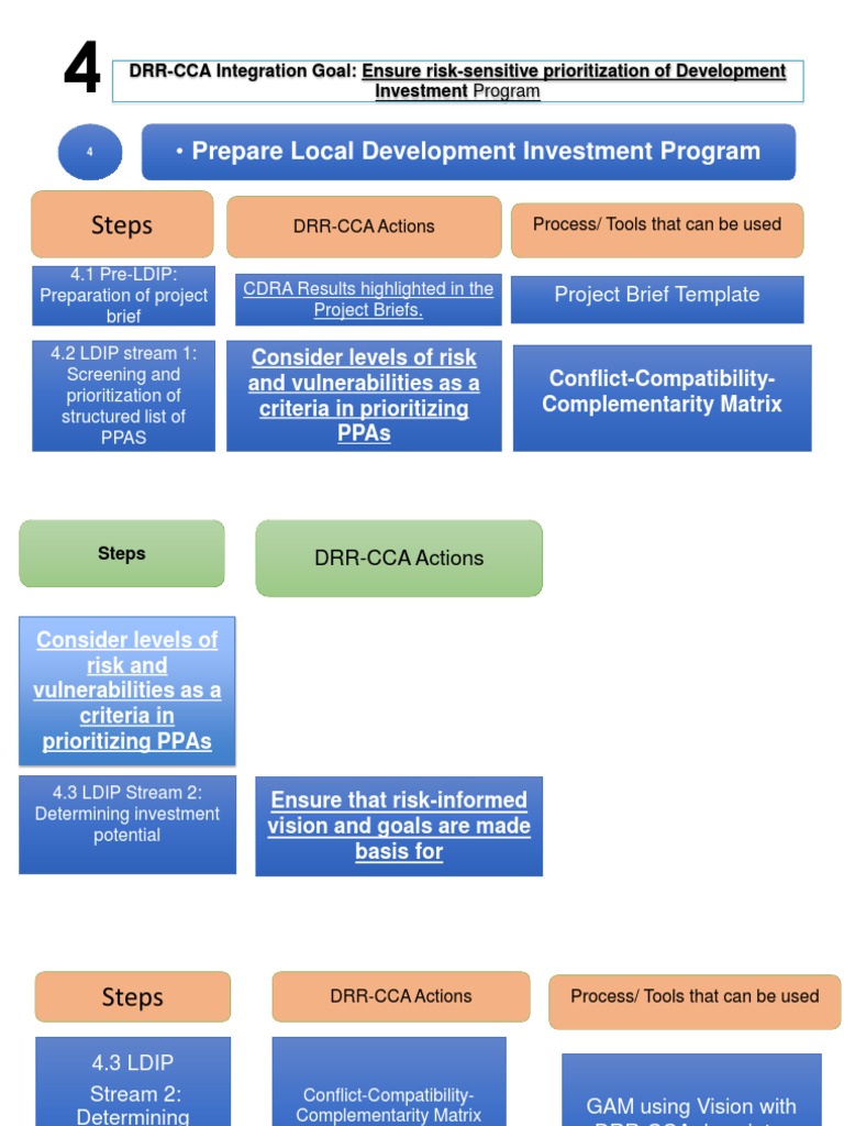 LDIP Guidelines for Risk-Sensitive Planning | PDF | Budget | Economies