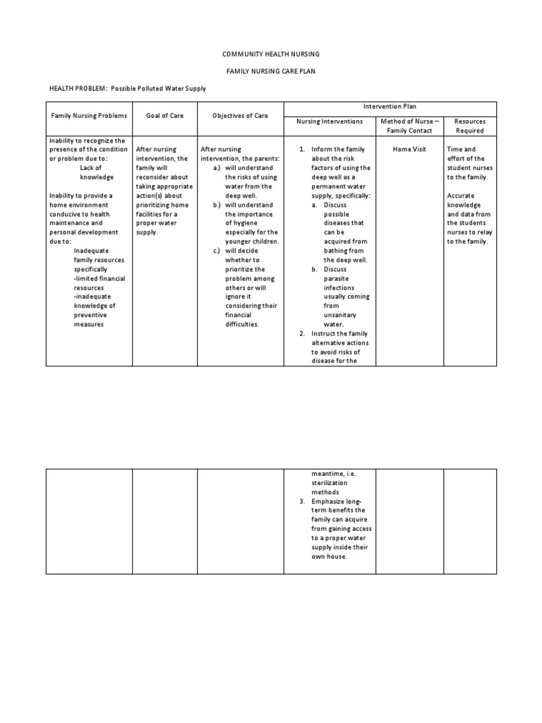 Community Health Nursing Care Plan | PDF | Nursing | Risk