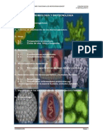 Apuntes de Cirrobiología y Pleonsamos PDF