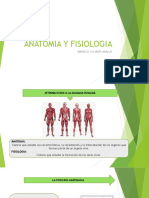 Anatomia y Fisiologia