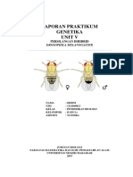 Laporan Praktikum Dihibrid