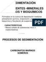 10 PETRO SED SEDIMENTACIÓN AMBIENTES MARINOS COMP QUIMICOS-BIOQUÍMICOS 2020 (2)