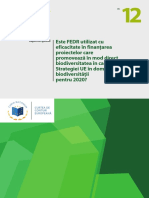 FEDR - Eficacitate in Finantarea Proiectelor PDF