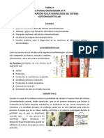 TEMA 4.docx