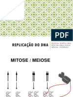 Tema 5 - Replicação Do Dna