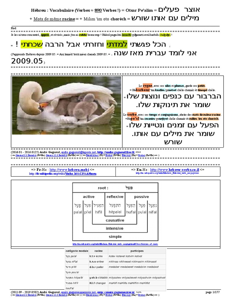 Hebreu Verbes Pdf Verbe Syntaxe