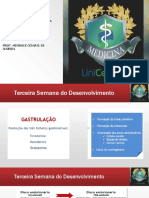 Aula 03. Terceira Semana Do Desenvolvimetno PDF