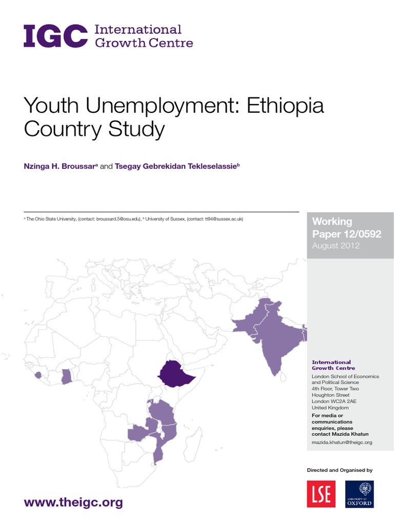 Youth Unemployment in Ethiopia: 2023 Insights | PDF | Workforce ...