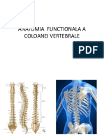 Anatomia Functionala A Coloanei Vertebrale 2
