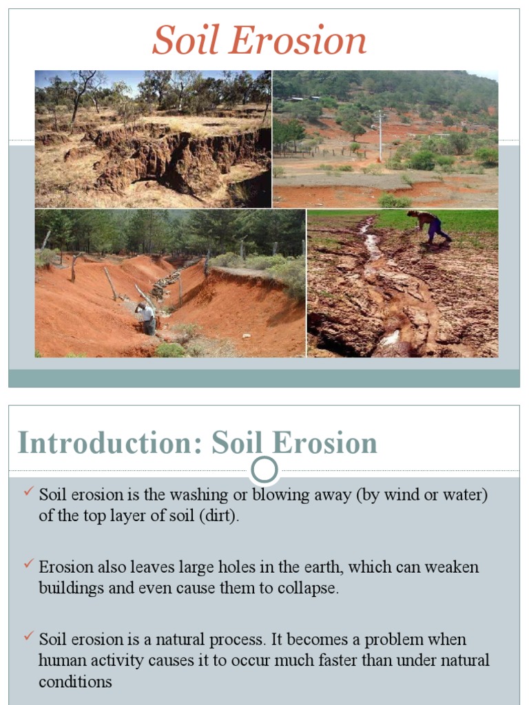 Causes Of Soil Erosion For Kids