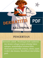 Power Point Dermatitis