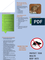 Be Aware of Rats Brochure