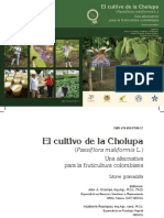 Libro Cholupa Definitivo 2015b PDF