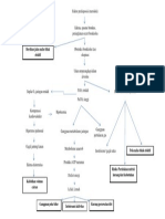 Pathway PPOK