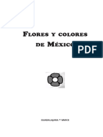 Flores y Colores de Mexico
