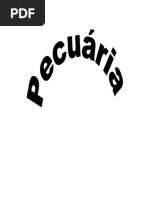 pecuaria